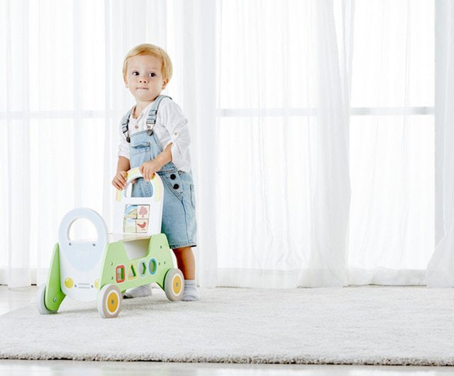 2 in 1 rider walker