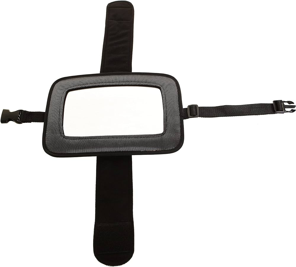 Backseat mirror