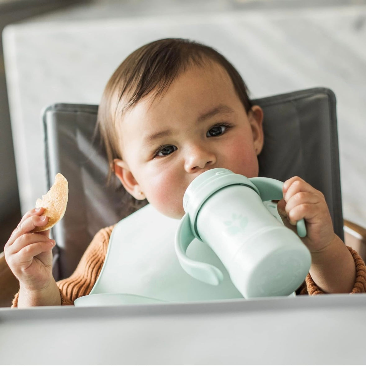 Sippy & straw cup