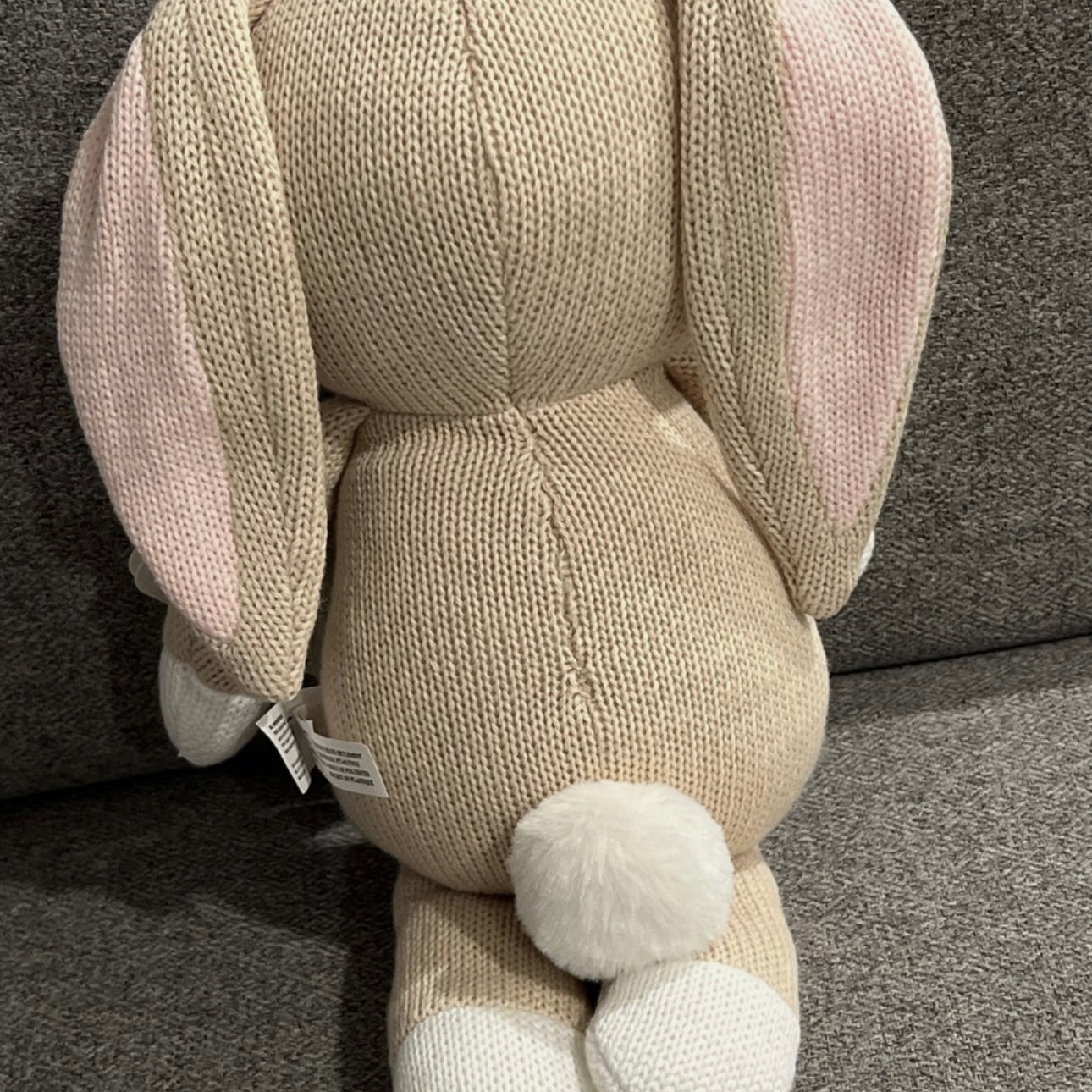 Jingle rabbit