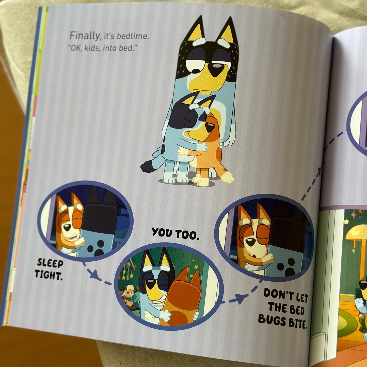 Bluey bedroom book