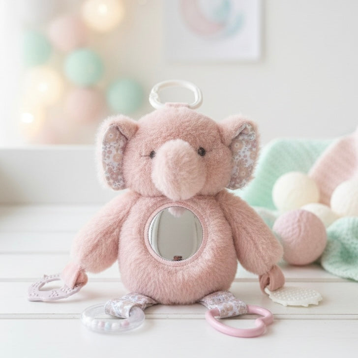 Activity buddy with mirror