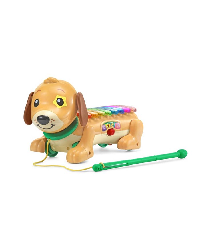 Doggy xylophone con sonido