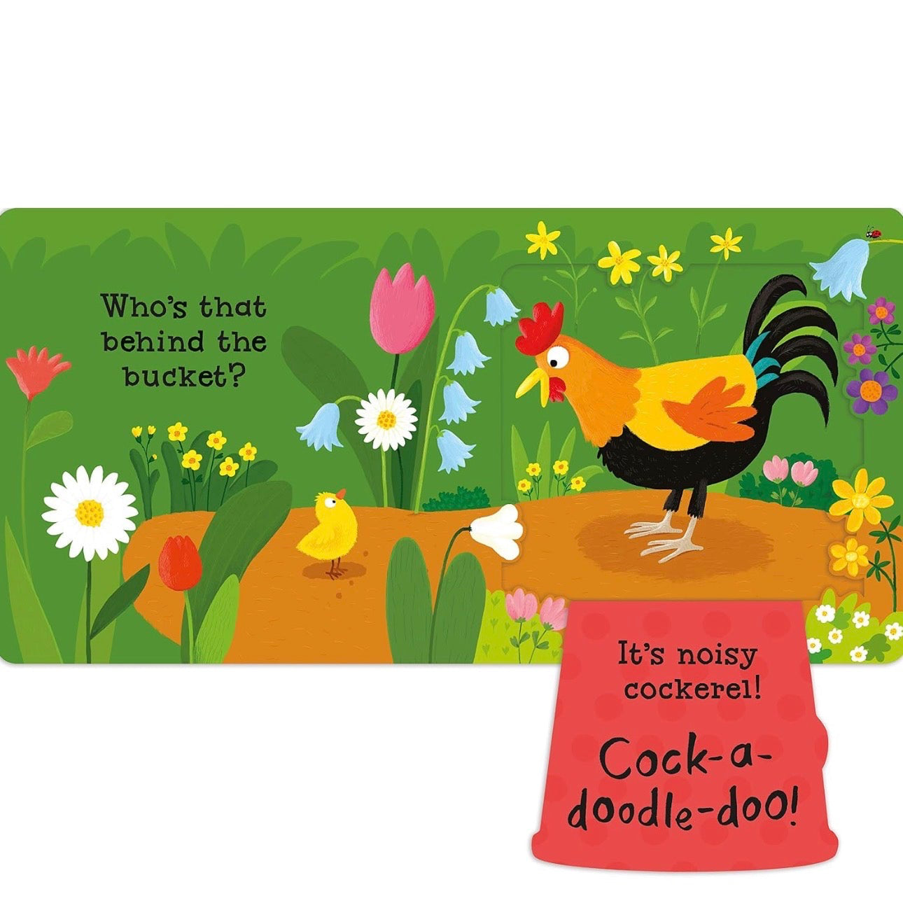 Libro - can you say it, too?