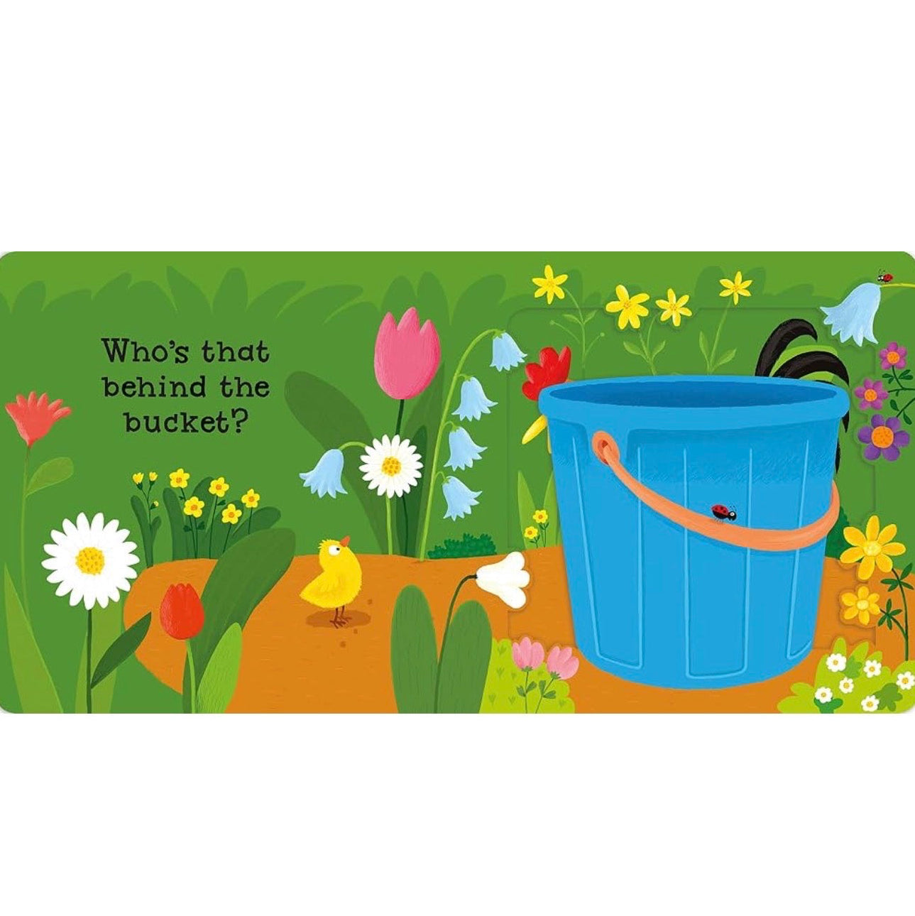 Libro - can you say it, too?