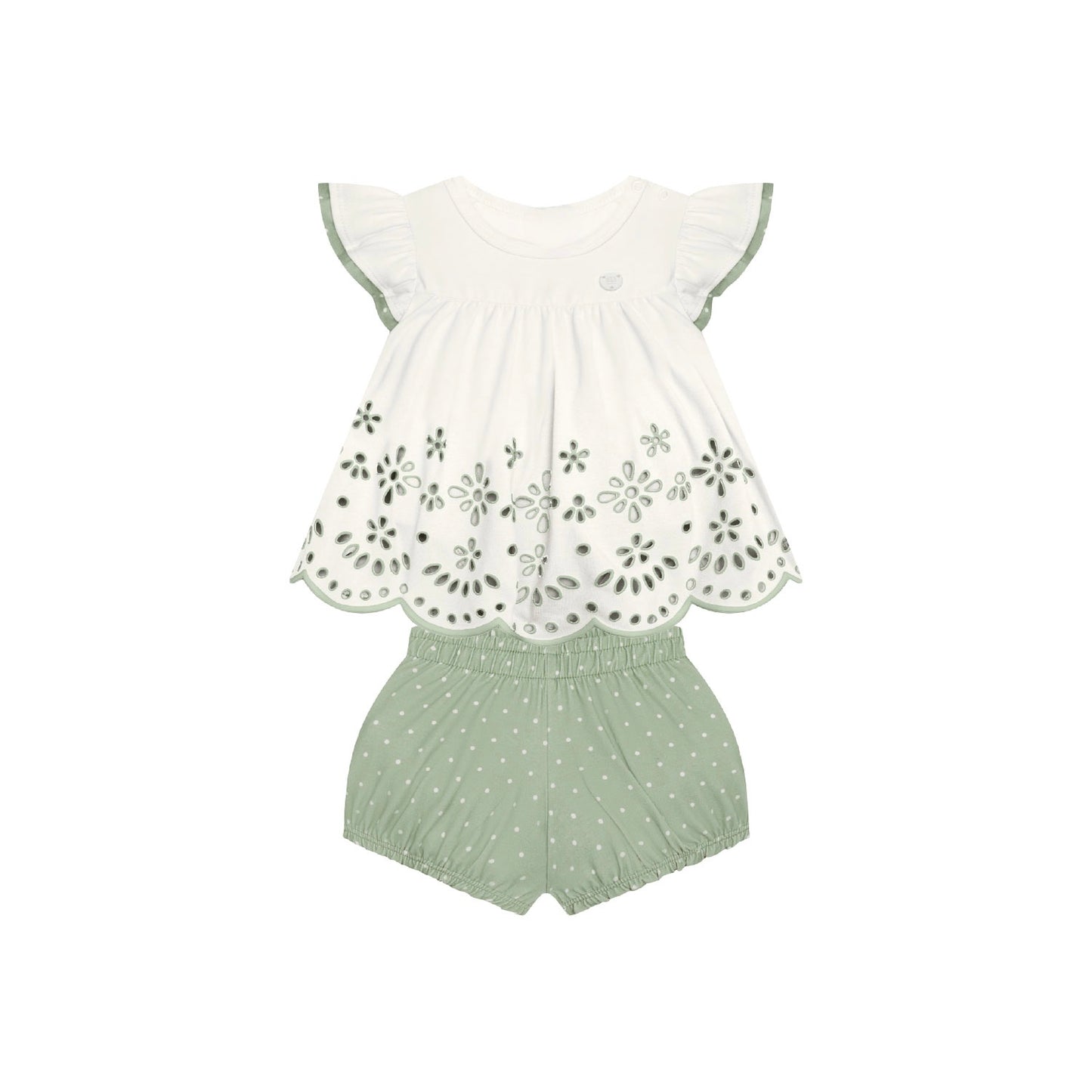Set Oliv