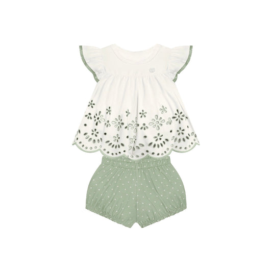 Set Oliv