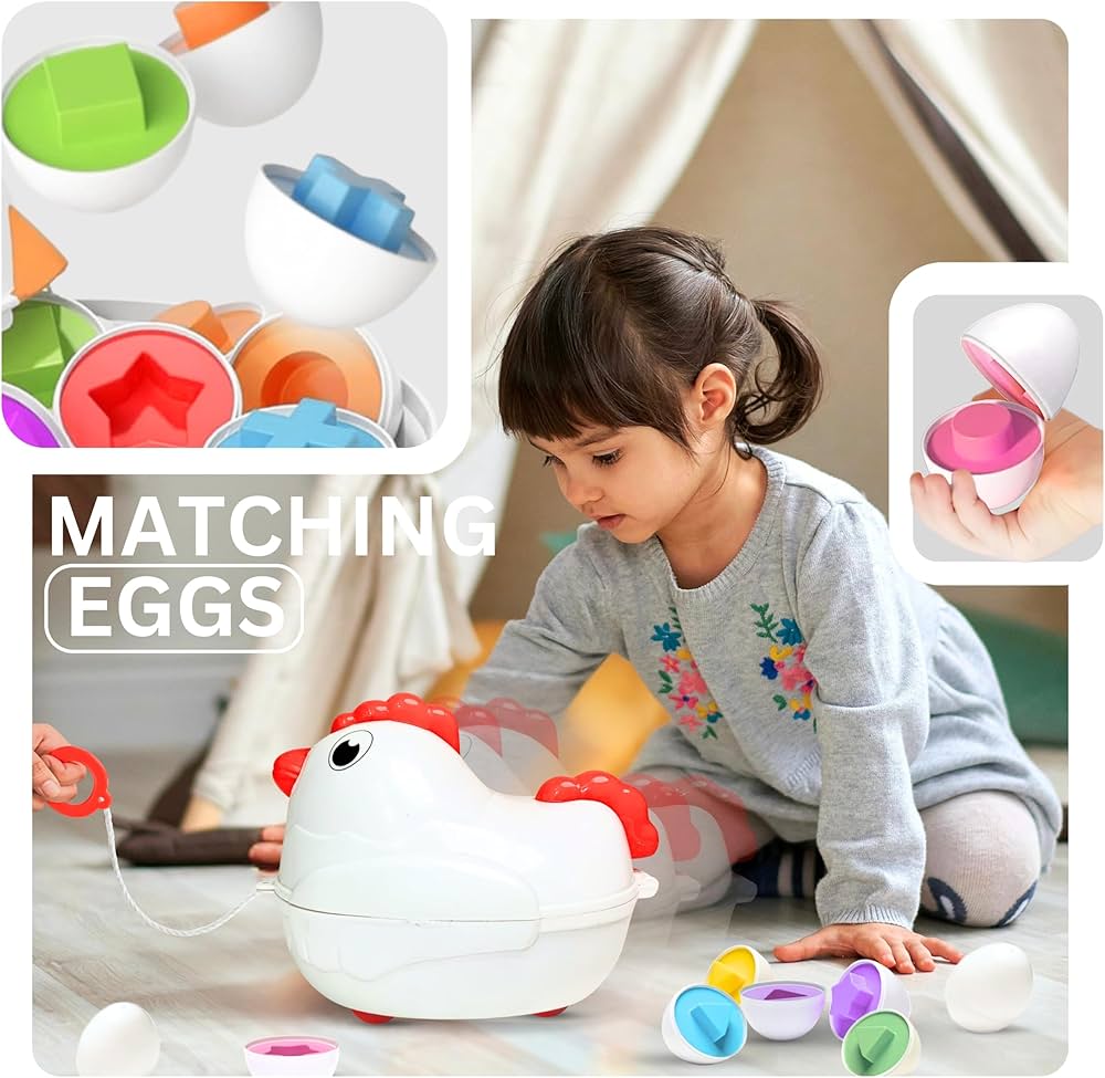 Matching eggs chiken