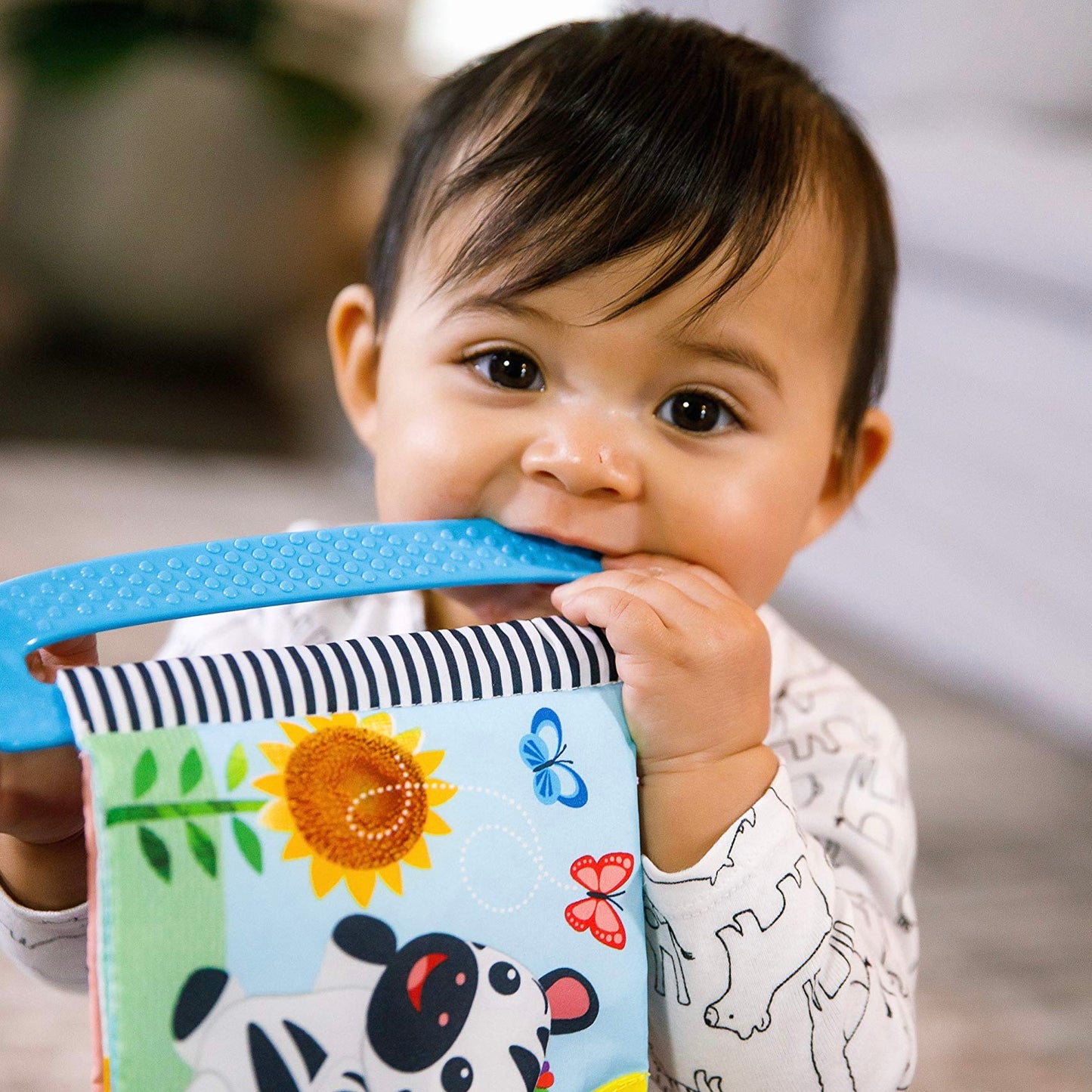 Teether book