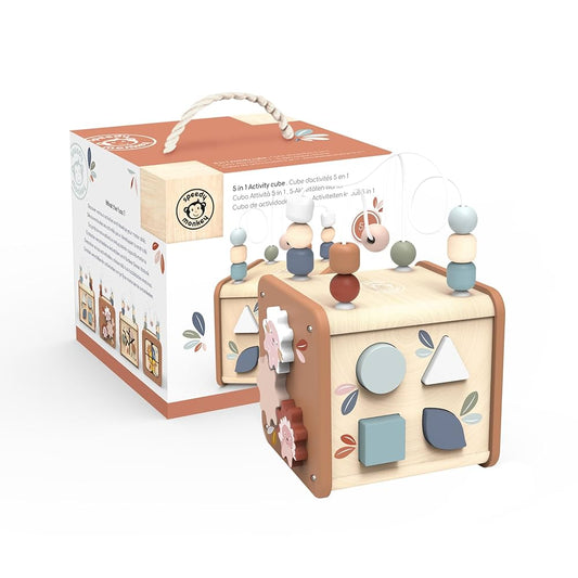5 in 1 Activity cube