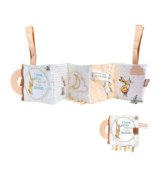 Accordion Style Toy T