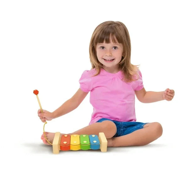 Bluey magic xylophone
